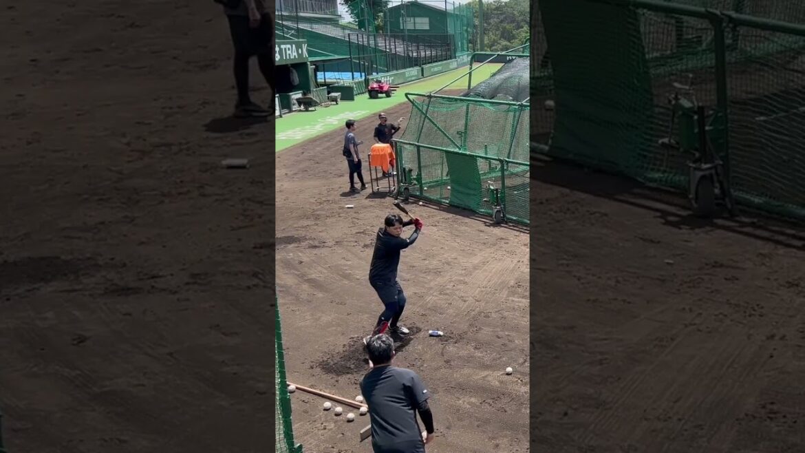 2024.5.21 中山礼都 ティーバッティング #giants #中山礼都 #ティーバッティング