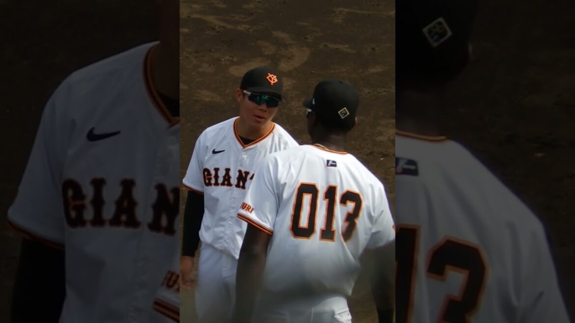 ジョージにグローブの匂いを無理やり嗅がせるティマ #佐々木俊輔 #ティマ #ジャイアンツ球場