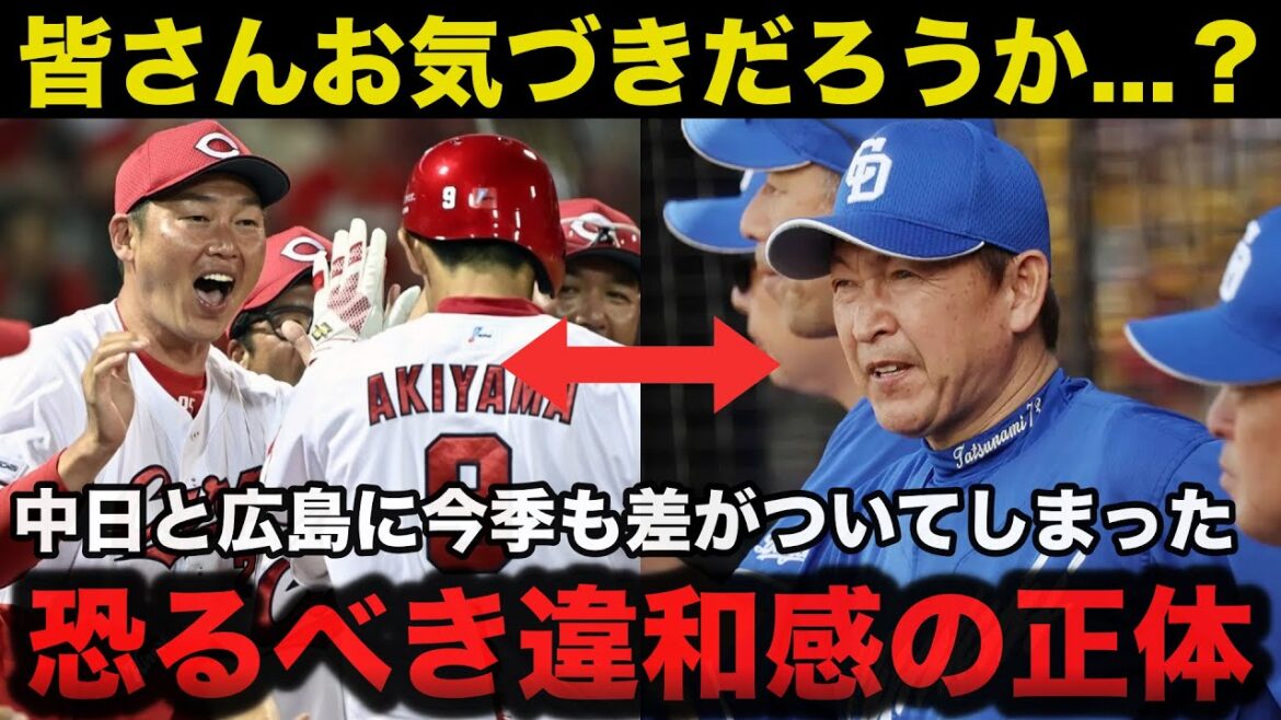 【徹底検証】中日.立浪監督と広島.新井貴浩に2024年も差がついた理由に一同驚愕【中日ドラゴンズ/プロ野球】
