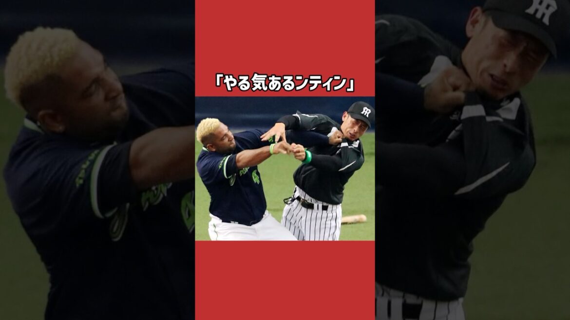 バレンティンに関する雑学＃野球＃バレンティン＃野球雑学