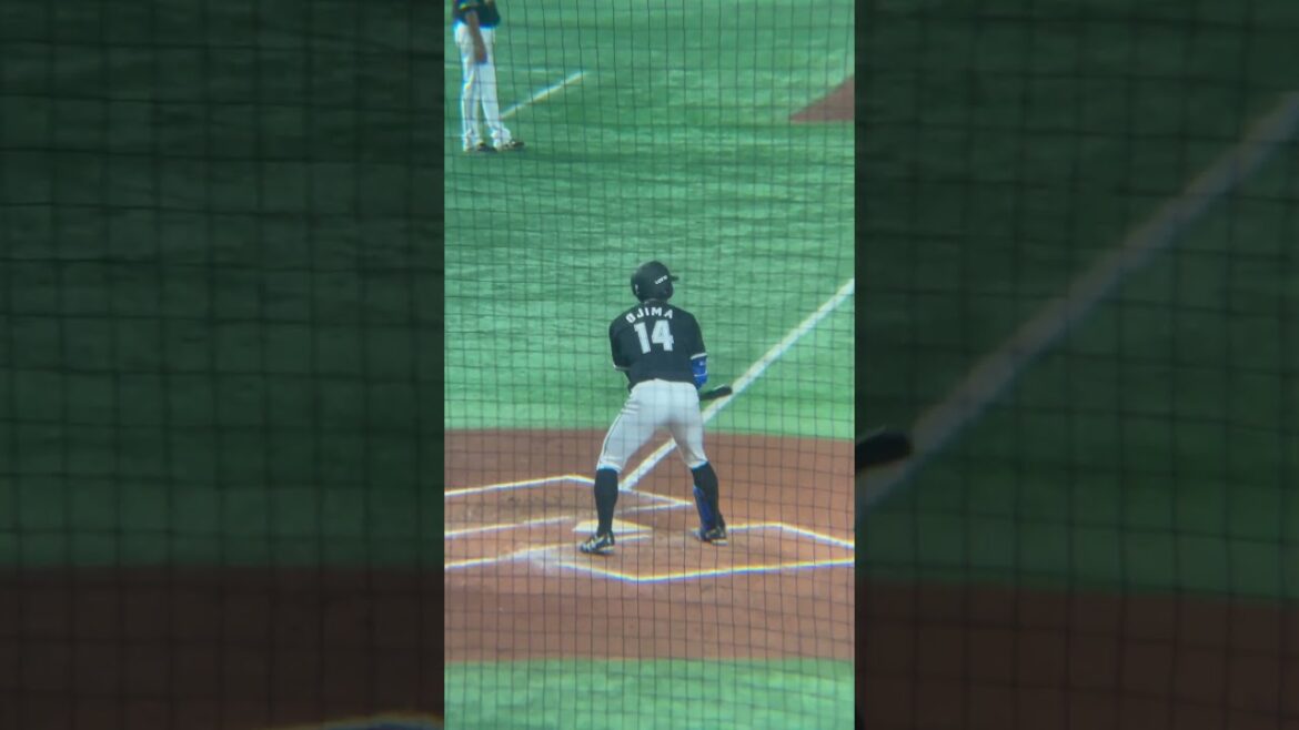 千葉ロッテマリーンズ 小島和哉 打撃フォーム #プロ野球  #千葉ロッテマリーンズ #小島和哉 #打撃フォーム #交流戦 #東京ドーム