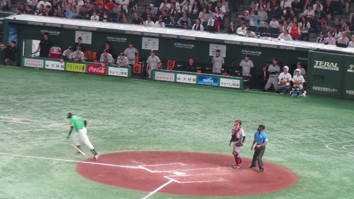 サンタナにホームラン打たれて固まる巨人ベンチ（2024年6月22日 読売ジャイアンツ対ヤクルトスワローズ）