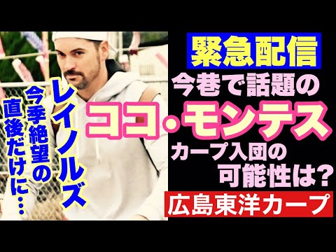 【広島東洋カープ】速報! 3Aの首位打者ココ・モンテス、NPB入りか!? 巧打の内野手って誰かと似てませんか? 【マット・レイノルズ】【新井貴浩】【カープ】 【広島東洋カープ】速報! 3Aの首位打者ココ・モンテス、NPB入りか!? 巧打の内野手って誰かと似てませんか? 【マット・レイノルズ】【新井貴浩】【カープ】