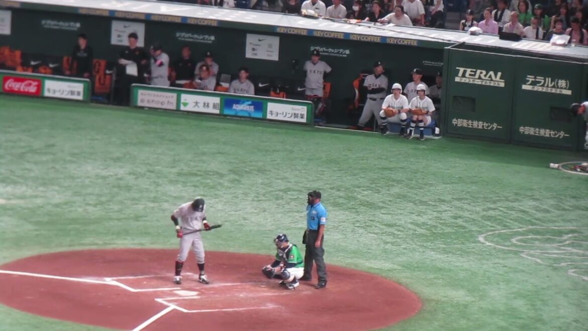 立岡宗一郎のヒットと拍手するベンチの門脇誠や萩尾匡也（2024年6月22日 読売ジャイアンツ対ヤクルトスワローズ）