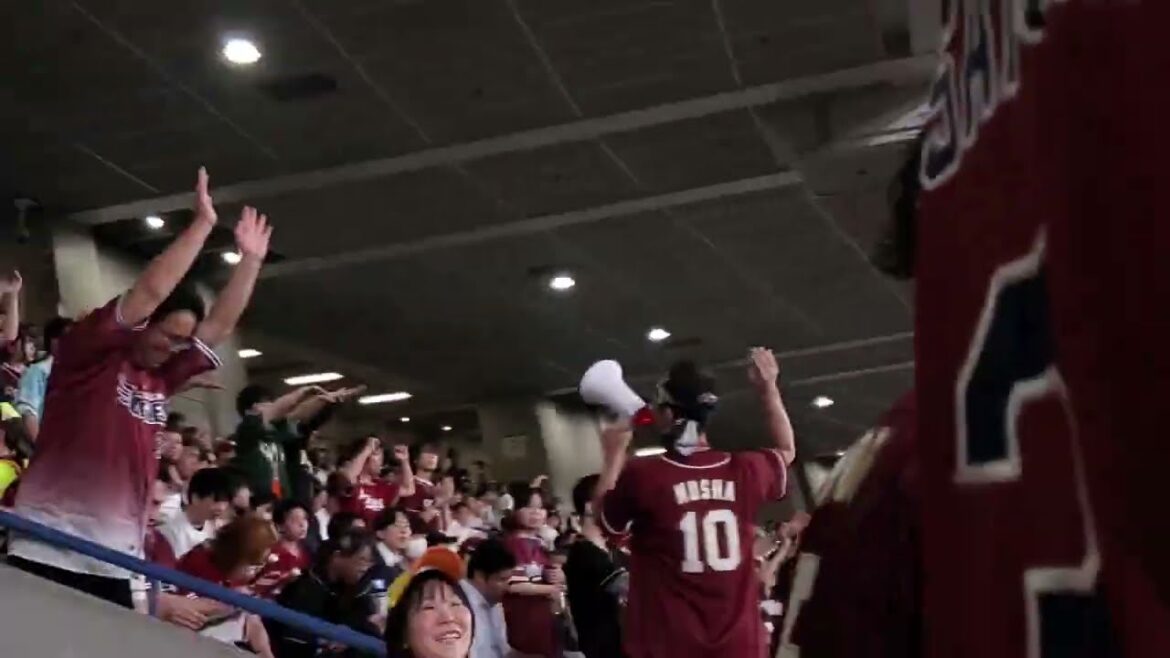 20240522　盛り上がる楽天ファン！弓削隼人の投球練習~6回ｳﾗ開始~@京ｾﾗﾄﾞｰﾑ大阪･ﾚﾌﾄ外野下段 白のｷｾｷ2024in大阪