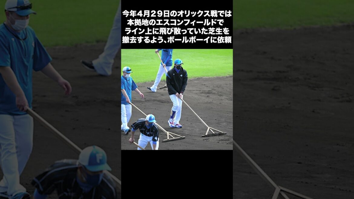 【日本ハム】「新庄監督が不慣れな球場で自ら整備を…」【日本ハム反応集】【ネットの反応】 #日本ハムファイターズ  #新庄監督 #西武ライオンズ #short