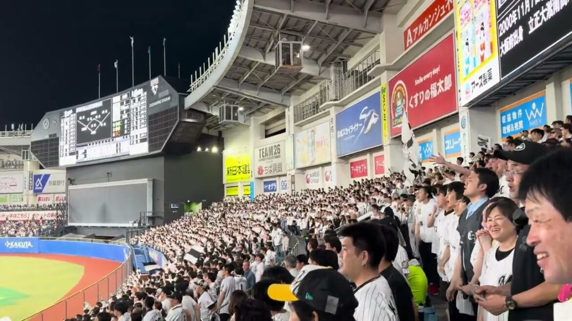 チャンステーマ5 2024/6/14 ロッテ vs ドラゴンズ #chibalotte チャンステーマ5 2024/6/14 ロッテ vs ドラゴンズ #chibalotte
