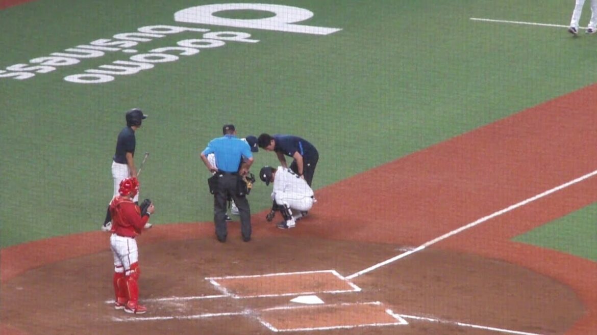 西武 陽川尚将 デッドボール　西武 vs 広島　2024年6月12日(水) ベルーナドーム