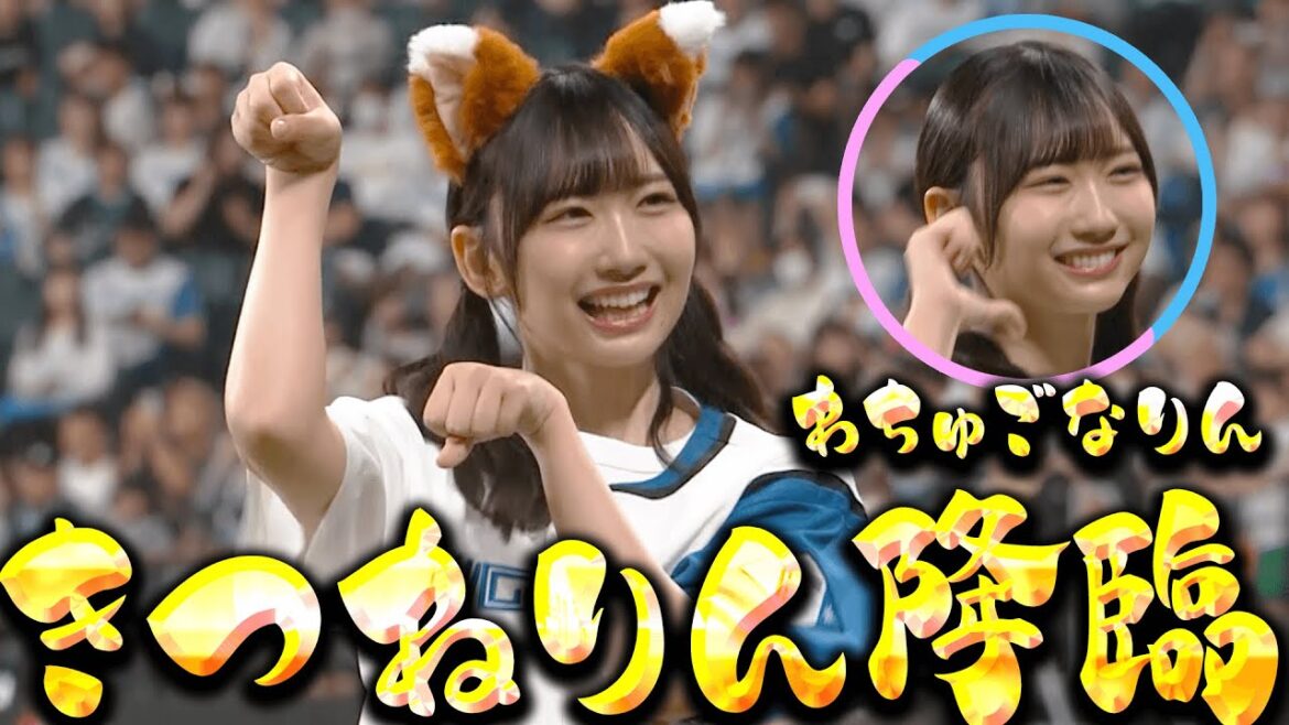 Pacific-League: 【のんびり北から】藤嶌果歩さんのきつねダンス【きつねりん降臨】 【のんびり北から】藤嶌果歩さんのきつねダンス【きつねりん降臨】