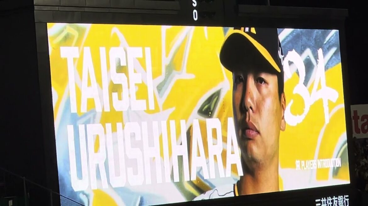 【本日も聖地君臨魅せる】 #阪神 #漆原大晟 投手登場 内野グランドを踏まない気遣いを魅せる #阪神甲子園球場 24.6.26.