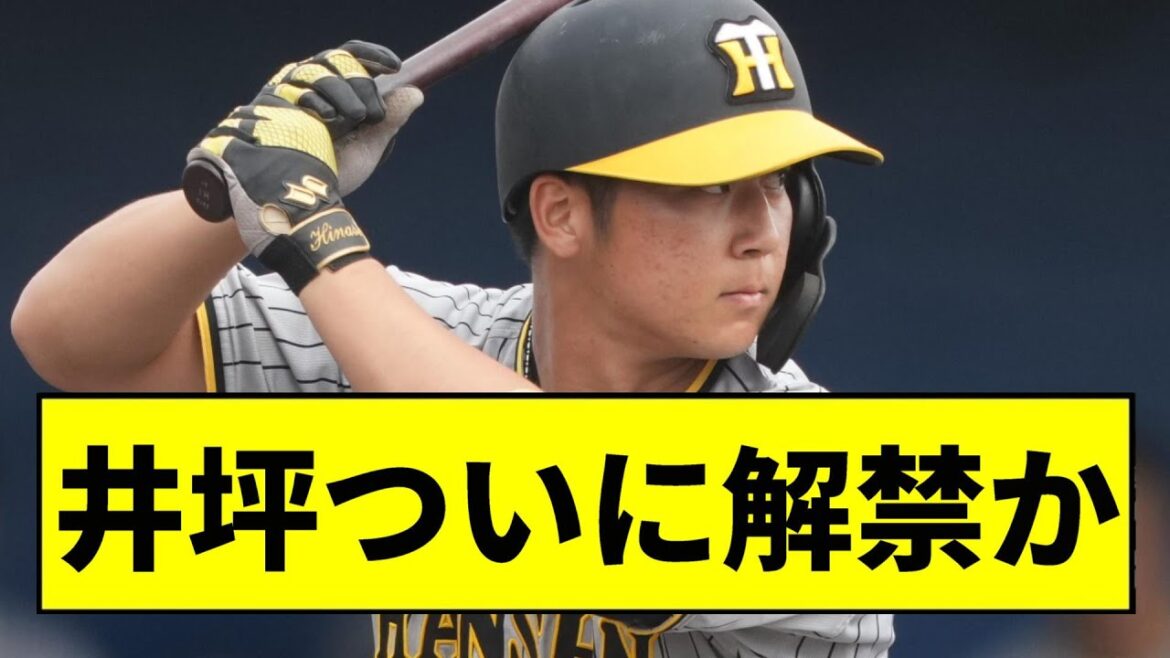 【阪神】近本不調により井坪ついに解禁かｗｗｗｗｗ【2chスレ】