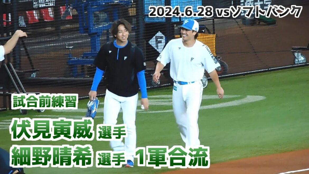 【日本ハム】伏見寅威選手 細野晴希選手 1軍合流 試合前練習の様子 【2024年6月28日】