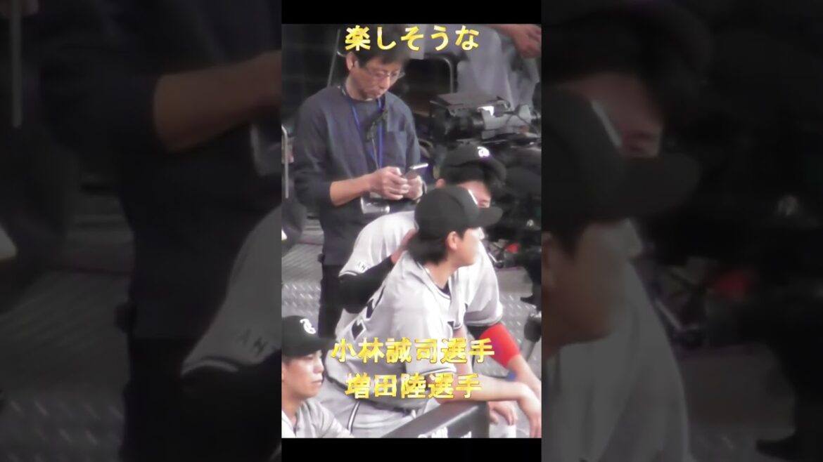 【ほのぼの】じゃれる増田陸と小林誠司 #小林誠司 #増田陸 #読売ジャイアンツ #かわいい