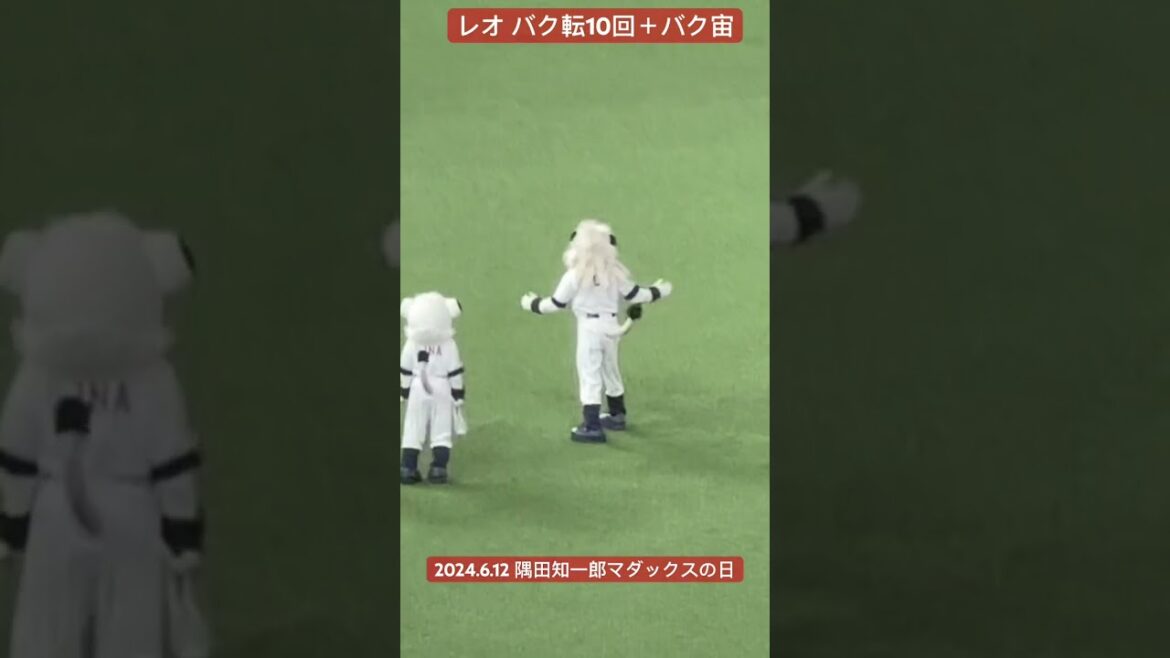#埼玉西武ライオンズ レオのバク転+バク宙 2024/6/12 #西武ライオンズ