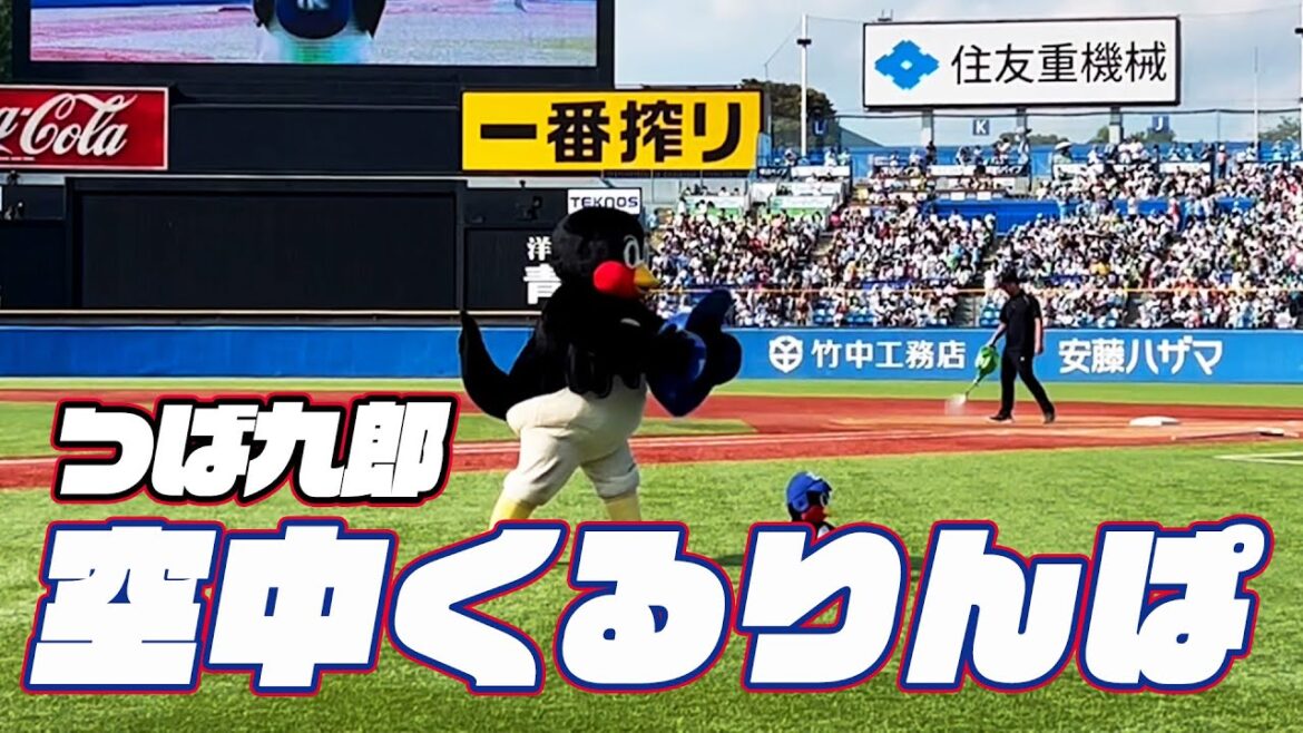すわくろうに直撃！つば九郎空中くるりんぱ｜2024年6月29日 阪神タイガース戦（神宮球場）