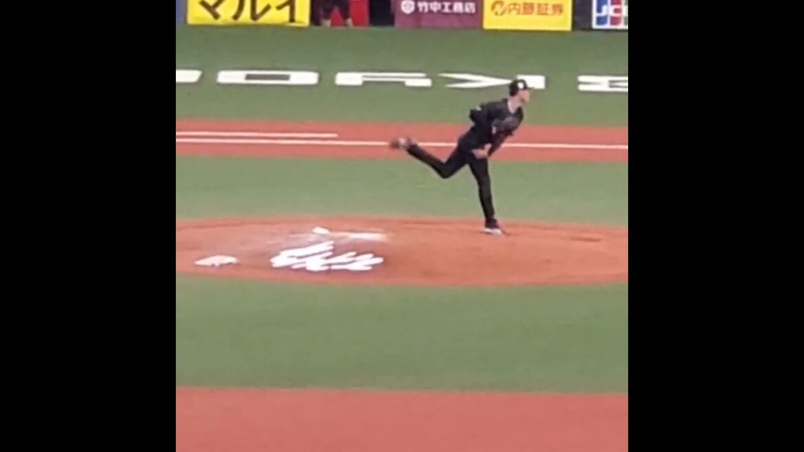 20240602　曽谷龍平の投球練習　#shorts　ｵﾘｯｸｽ･ﾊﾞﾌｧﾛｰｽﾞ　先発投手@京ｾﾗﾄﾞｰﾑ大阪･ﾚﾌﾄ外野下段 日本生命ｾ･ﾊﾟ交流戦