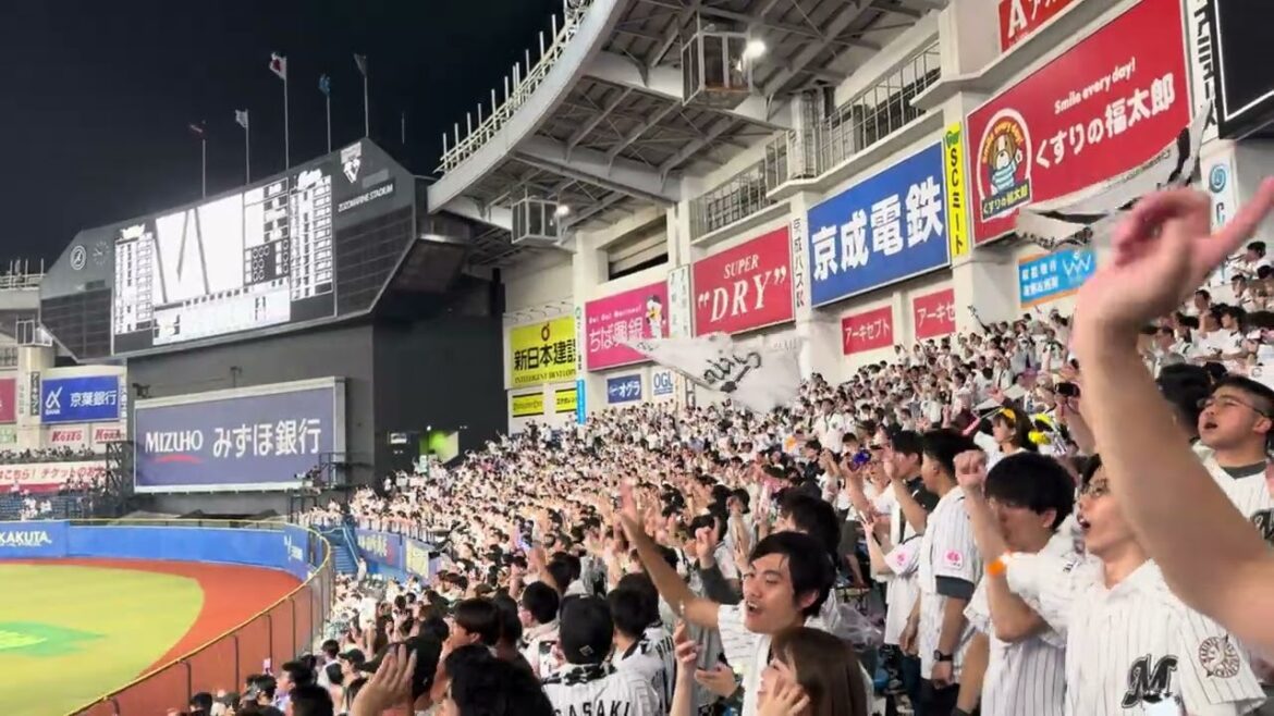 夏限定応援歌【夏の夜空に願い込めて】 2024/6/25 ロッテ vs 楽天 #chibalotte 夏限定応援歌【夏の夜空に願い込めて】 2024/6/25 ロッテ vs 楽天 #chibalotte