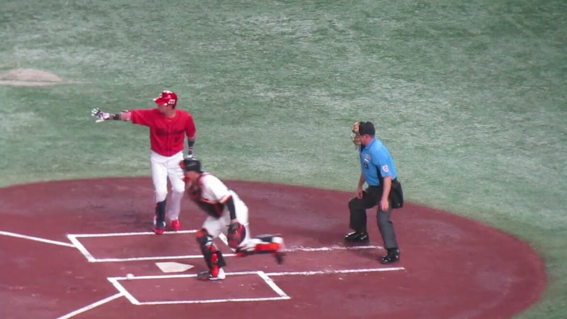 【広島カープ】野間峻祥の打撃フォーム 2024年6月28日 読売ジャイアンツ 対 広島東洋カープ