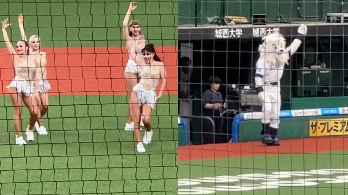 "ドミニカのbluelegends"による『Más Dominicana』ダンスと、見ただけで振りコピ出来ちゃうレオ【西武vs ロッテ】2024/6/22ファーム