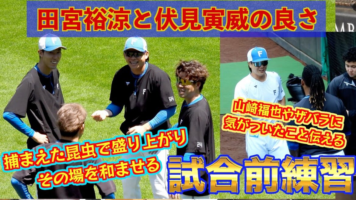 【20240629】試合前練習。昆虫大好き田宮裕涼と先発陣が盛り上がるシーンや前日バッテリーを組んだ投手（山崎福也など一部）とコミュニケーションを取る伏見寅威など