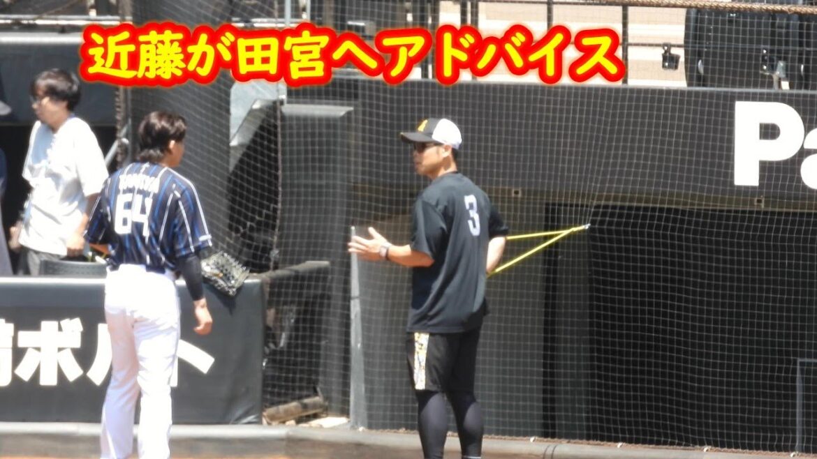 【20240629】#田宮裕涼#近藤健介　田宮が近藤にアドバイスをもらう