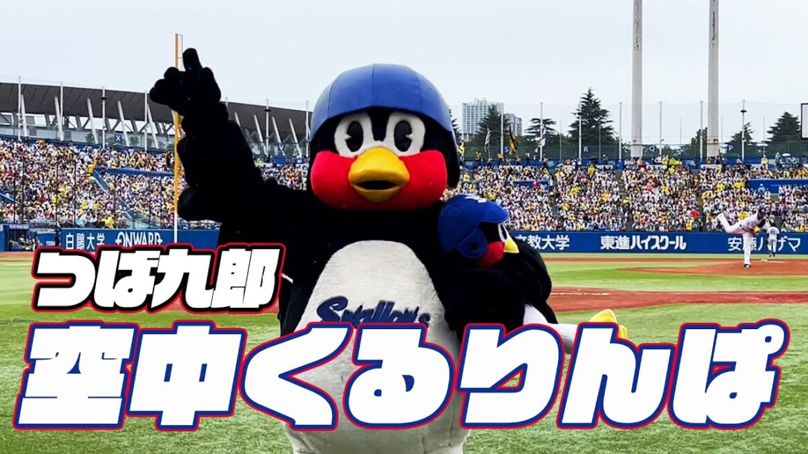 小雨の中挑戦！つば九郎空中くるりんぱ｜2024年6月30日 阪神タイガース戦（神宮球場）