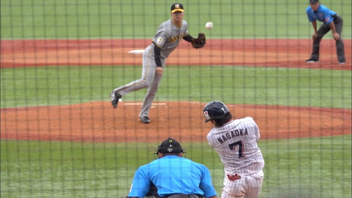 頼もし過ぎる！！長岡秀樹の同点タイムリーヒット！東京ヤクルトスワローズ 2024/06/30