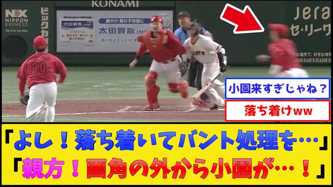 カープ小園、やりすぎレベルの猛チャージを仕掛けた結果www【広島東洋カープ】【プロ野球なんJ 2ch プロ野球反応集】 カープ小園、やりすぎレベルの猛チャージを仕掛けた結果www【広島東洋カープ】【プロ野球なんJ 2ch プロ野球反応集】