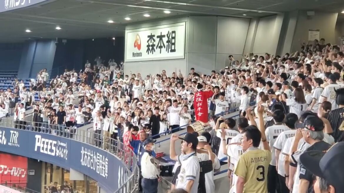 20240627　試合後に流れる！【森友哉 応援歌(exultation "WHITE")　ｵﾘｯｸｽ･ﾊﾞﾌｧﾛｰｽﾞ@京ｾﾗﾄﾞｰﾑ大阪･ﾚﾌﾄ外野下段 Bsｵﾘ姫ﾃﾞｰ2024