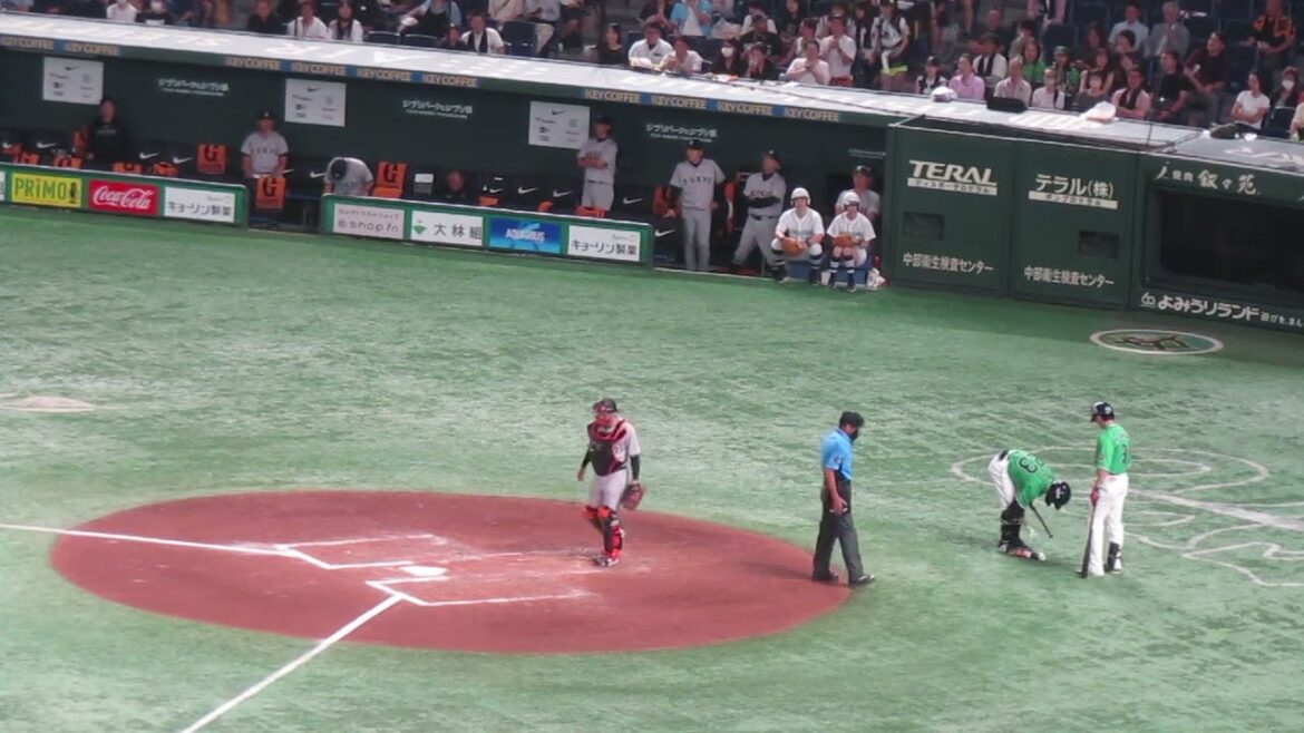 代打 青木宣親とそれを見る巨人 阿部監督などの様子（2024年6月22日 読売ジャイアンツ対ヤクルトスワローズ）