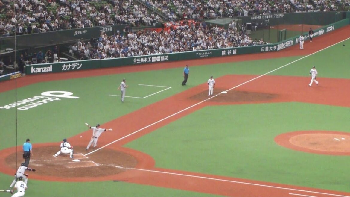 巨人 立岡宗一郎 タイムリーヒット　西武 vs 巨人　2024年6月2日(日)