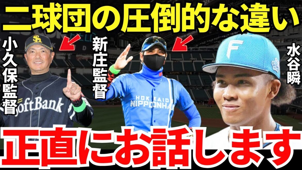 水谷「僕が交流戦MPVになれたのは…」交流戦MVP男の水谷瞬は日本ハムとソフトバンクにどのような違いを感じているのか？