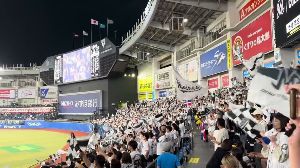 珍しく、勝利の旗FLAG OF VICTORY 【声合わせて歌おう マリーンズのために！！！】  2024/6/26 ロッテ vs 楽天 #chibalotte