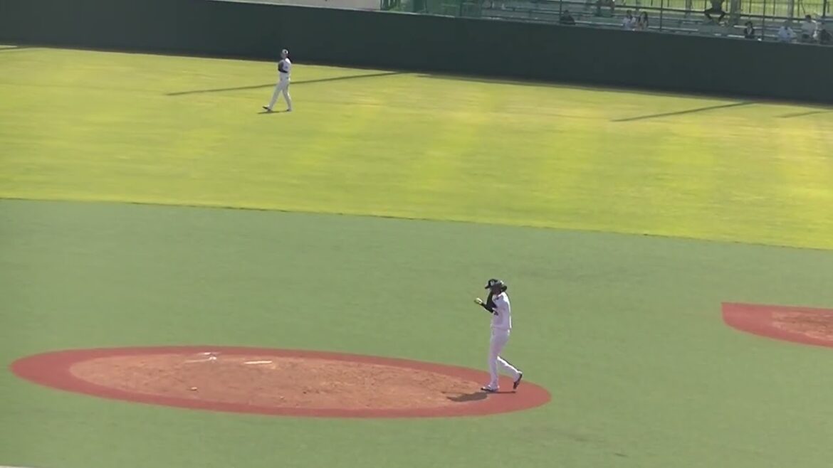 日ハム加藤豪将を三振にとるヤクルト丸山翔大（2024年6月14日 ヤクルトスワローズ対 日本ハムファイターズ）