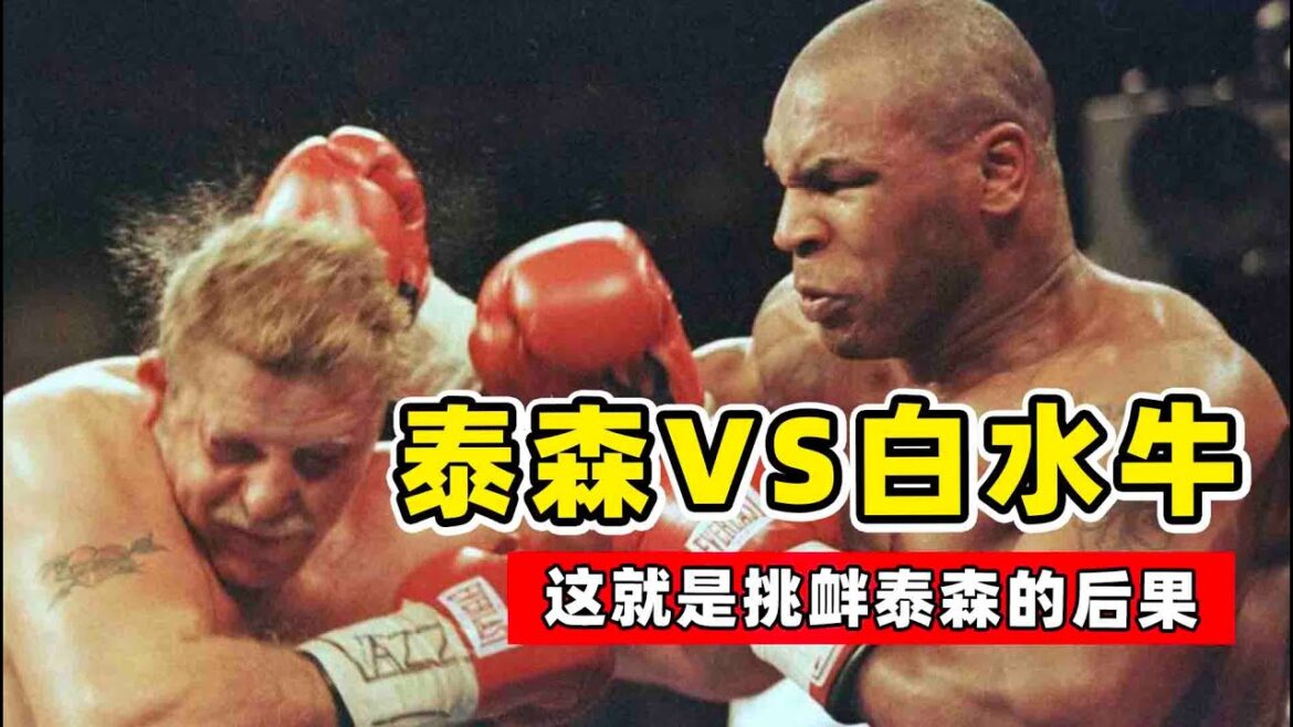 作死挑釁泰森！結果被一拳打昏，泰森的做法不愧是一代拳王！Tyson VS Botha