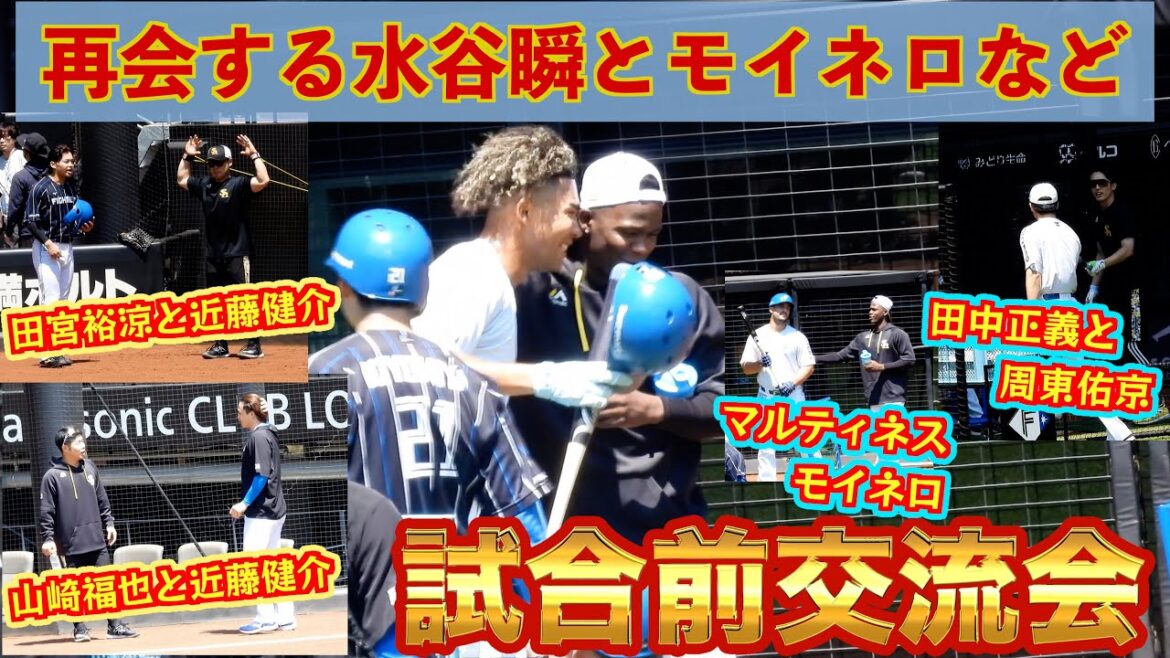 【20240629】交流会。山崎福也、田宮裕涼と近藤健介。モイネロとマルティネス、万波中正、レイエス 【20240629】交流会。山崎福也、田宮裕涼と近藤健介。モイネロとマルティネス、万波中正、レイエス