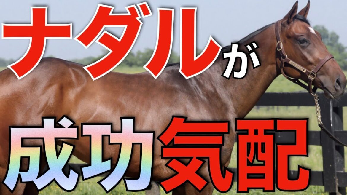 競馬界に旋風!ナダルの産駒が見せる驚異的なスピード。 競馬界に旋風!ナダルの産駒が見せる驚異的なスピード。