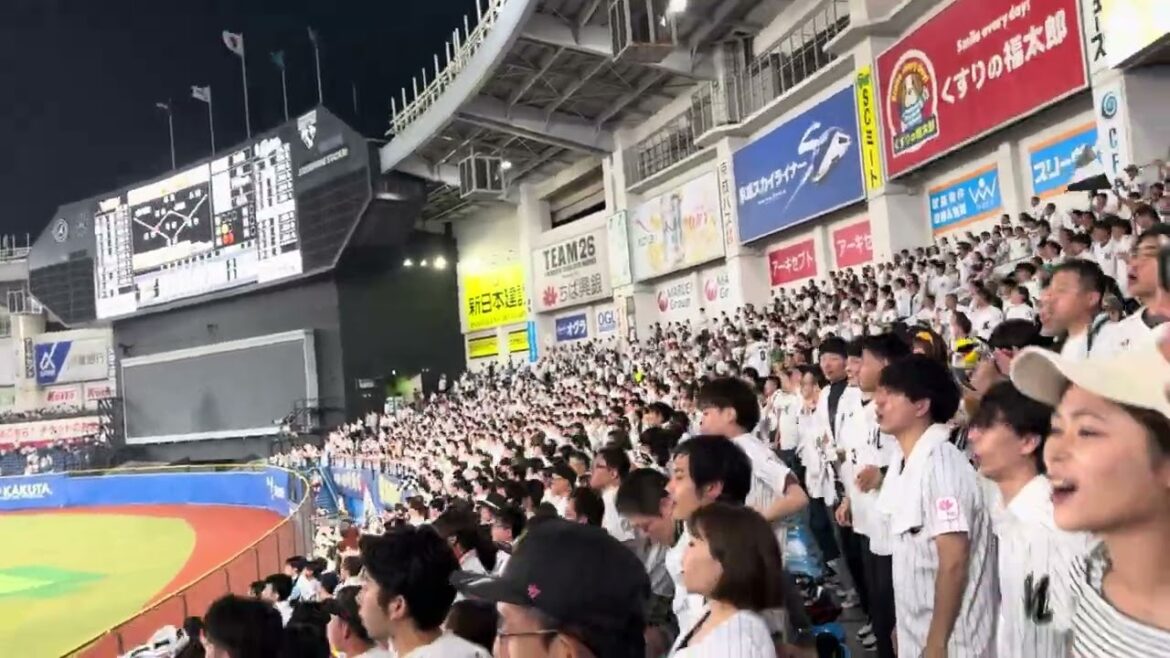 中村奨吾応援歌→タイムリー！  2024/6/25 ロッテ vs 楽天 #chibalotte