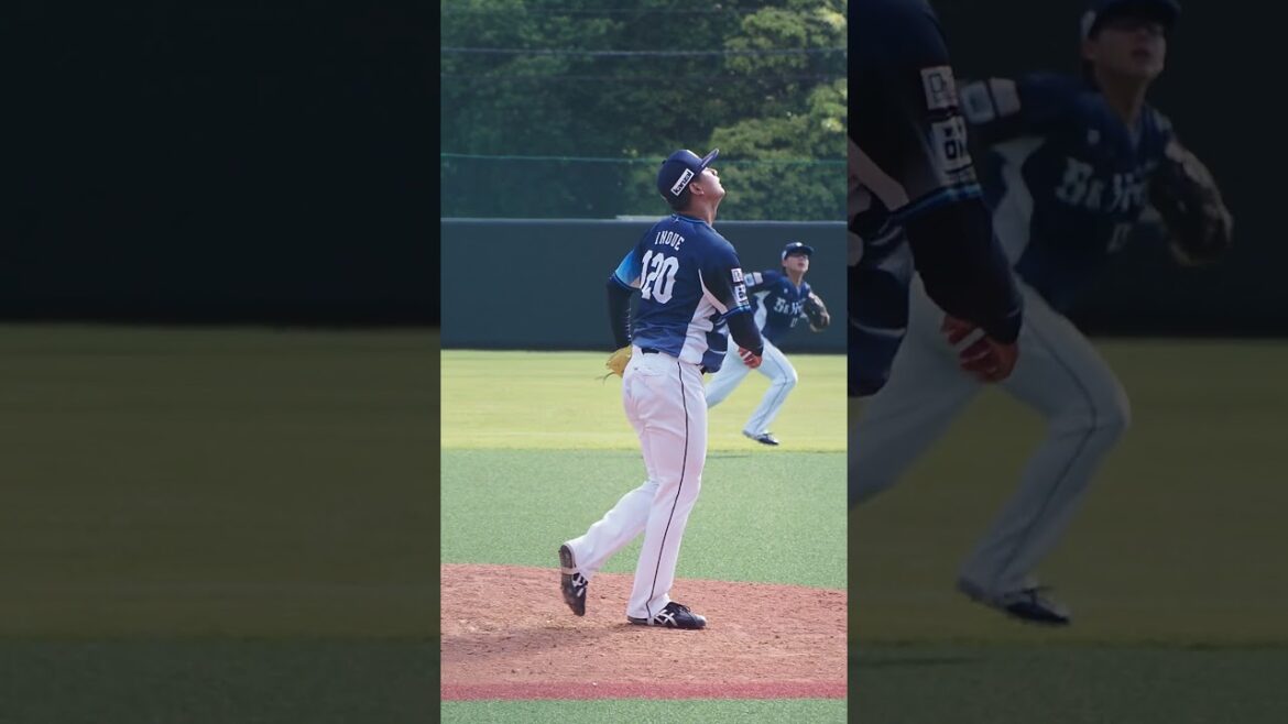 2024.05.25 東京ヤクルト-埼玉西武(ヤクルト戸田) 井上広輝 投球シーン #プロ野球 #seibulions 2024.05.25 東京ヤクルト-埼玉西武(ヤクルト戸田) 井上広輝 投球シーン #プロ野球 #seibulions