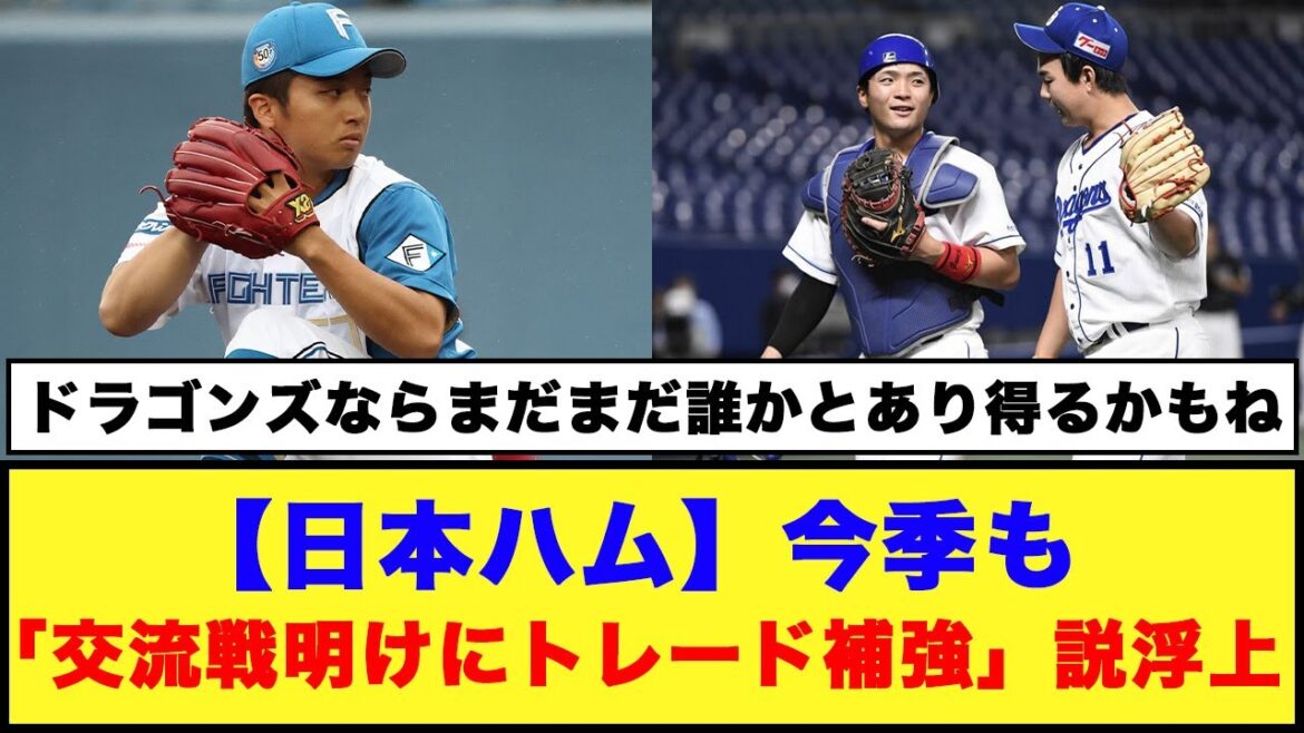 【日本ハム】今季も「交流戦明けにトレード補強」説浮上【日本ハム反応集】【ネットの反応】#日ハム #郡司裕也 #山本拓実 #ドラゴンズ