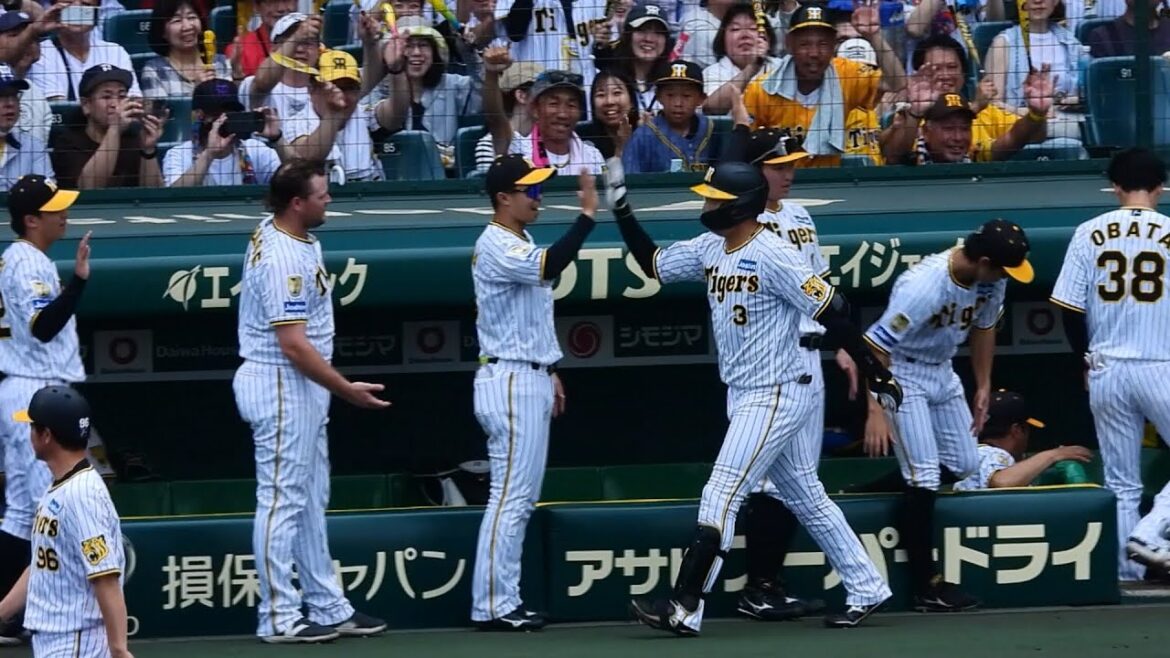 【虎の主砲が完全復活】4番・大山悠輔、一軍復帰後初ホームラン！今シーズン第4号アーチ！ 2024.6.22