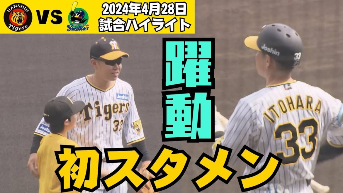 【4月28日試合ハイライト】糸原選手初スタメンで猛打賞！風も味方につけてカード勝ち越しや！（2024年4月28日 阪神4ー3ヤクルト）#サンテレビボックス席