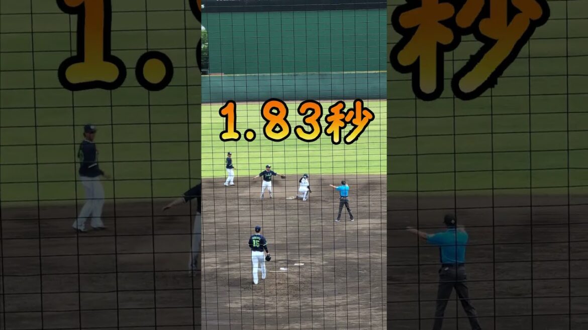 【2023 D4位】ヤクルト高卒ルーキー 鈴木叶選手の強肩が光るセカスロ【1.83秒】