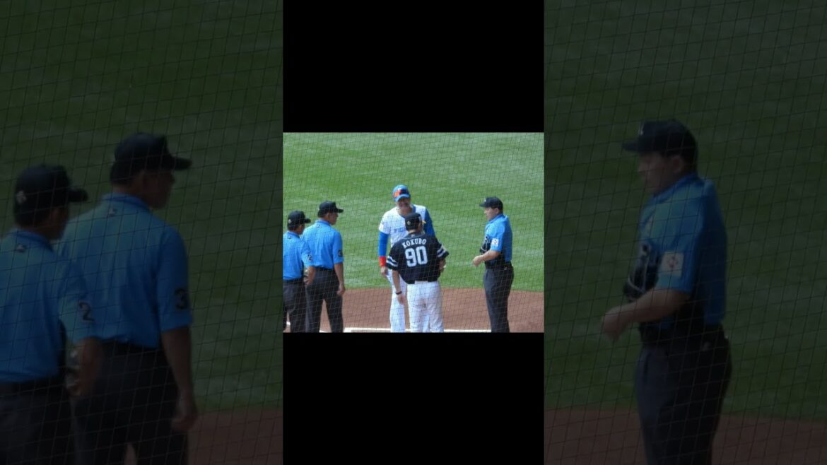 【20240629】＃メンバー表交換＃新庄監督＃小久保監督＃ハイタッチ #エスコンフィールド #プロ野球 #北海道日本ファイターズ