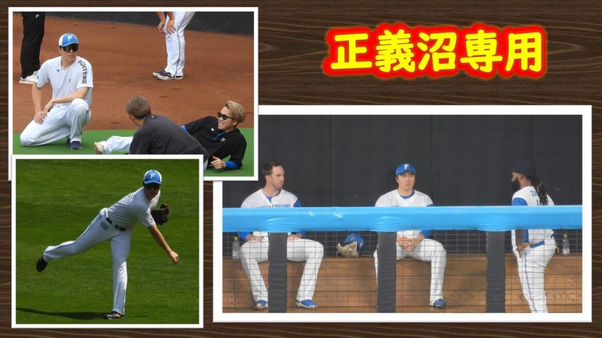 【20240630】田中正義（正義沼専用）