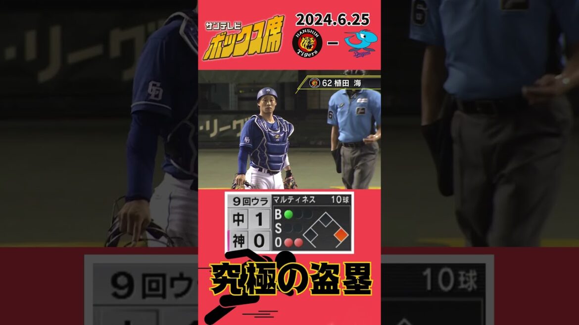 【この場面で走れる自信と勇気！】WBCでの鳥谷選手を彷彿とさせる植田選手の快走！！！（2024年6月25日 阪神0－1中日）#サンテレビボックス席