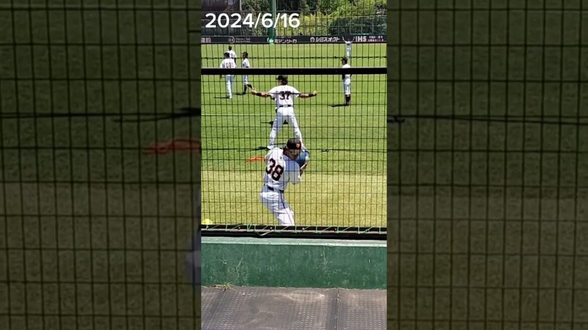 【GIANTS】ジャイアンツ選手、試合前のウォーミングアップ #巨人 #ジャイアンツ #巨人2軍 #giants