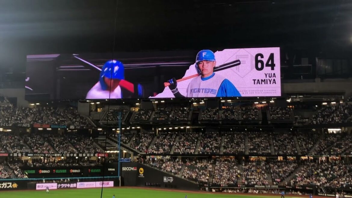 【RUN Sexy Zone】北海道日本ハムファイターズ　田宮裕涼　登場曲