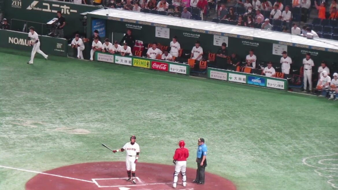 立岡宗一郎の空振り三振の打席とそれをみてる巨人ベンチの選手たち  2024年6月28日 読売ジャイアンツ 対 広島東洋カープ