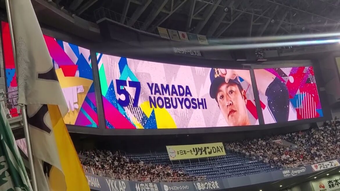 20240331　山田修義が登板　8回表　ｵﾘｯｸｽ･ﾊﾞﾌｧﾛｰｽﾞ@京ｾﾗﾄﾞｰﾑ大阪･ﾚﾌﾄ外野下段